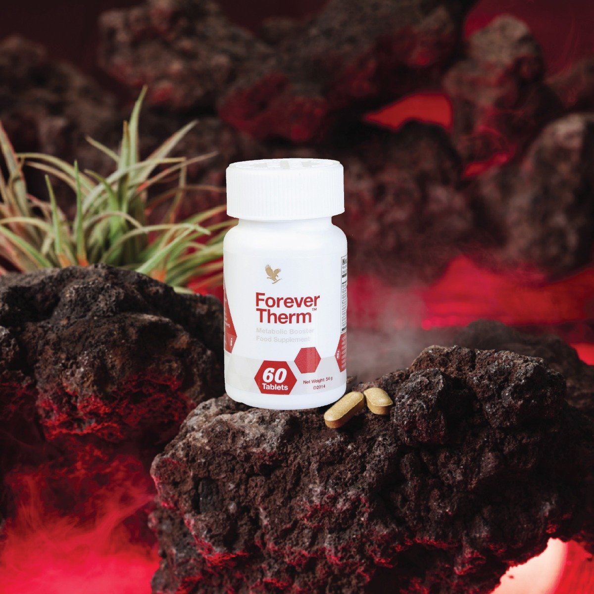 FOREVER THERM - imagine 3